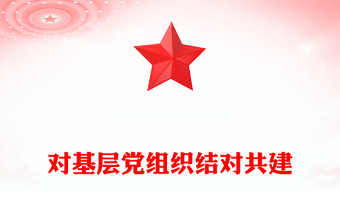 对基层党组织结对共建