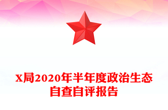 X局2020年半年度政治生态自查自评报告