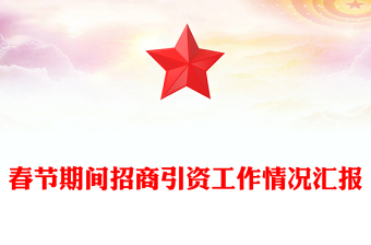 春节期间招商引资工作情况汇报