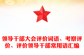 领导干部大会评价词语、考察评价、评价领导干部常用语汇编