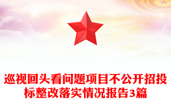 巡视回头看问题项目不公开招投标整改落实情况报告3篇