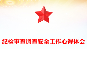 纪检审查调查安全工作心得体会