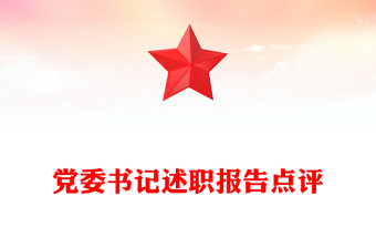 党委书记述职报告点评