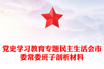 党史学习教育专题民主生活会市委常委班子剖析材料