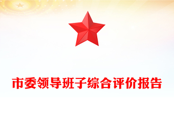 市委领导班子综合评价报告
