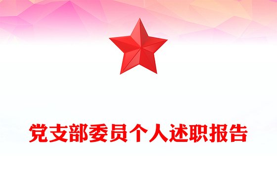 党支部委员个人述职报告