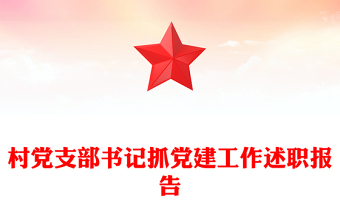 村党支部书记抓党建工作述职报告