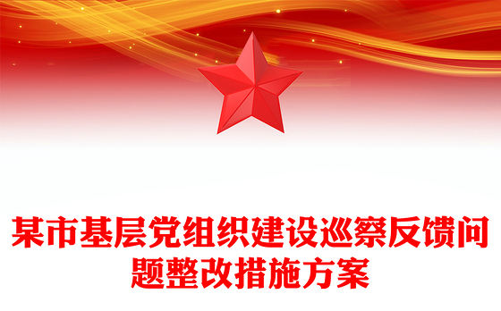 某市基层党组织建设巡察反馈问题整改措施方案