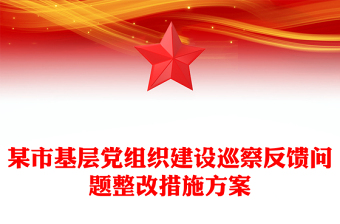 某市基层党组织建设巡察反馈问题整改措施方案