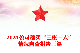 2021公司落实“三重一大”情况自查报告三篇