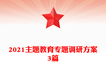 2021主题教育专题调研方案3篇