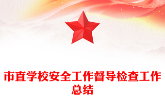 市直学校安全工作督导检查工作总结