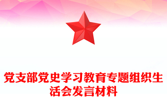 党支部党史学习教育专题组织生活会发言材料