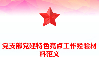 党支部党建特色亮点工作经验材料范文