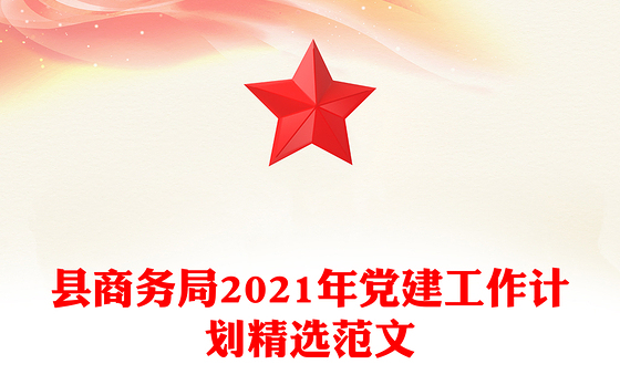 2023商务局党建工作个人总结