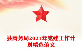 县商务局2021年党建工作计划精选范文