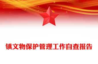 镇文物保护管理工作自查报告