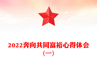 2022奔向共同富裕心得体会(一)