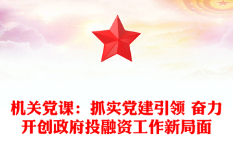 机关党课：抓实党建引领 奋力开创政府投融资工作新局面