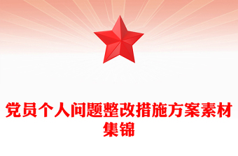 党员个人问题整改措施方案素材集锦