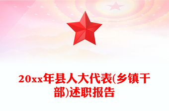 20xx年县人大代表(乡镇干部)述职报告
