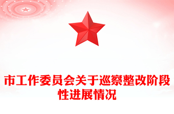 市工作委员会关于巡察整改阶段性进展情况