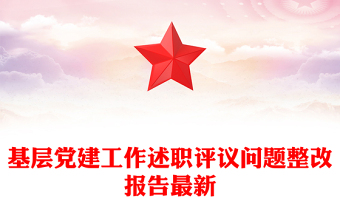 基层党建工作述职评议问题整改报告最新