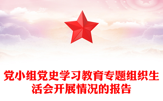 党小组党史学习教育专题组织生活会开展情况的报告