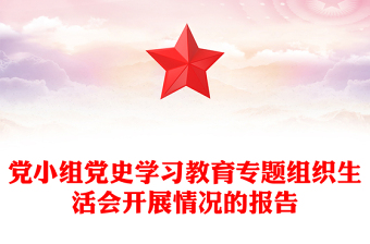 党小组党史学习教育专题组织生活会开展情况的报告