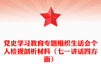 党史学习教育专题组织生活会个人检视剖析材料（七一讲话四方面）