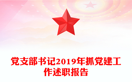 党支部书记2019年抓党建工作述职报告