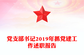 党支部书记2019年抓党建工作述职报告