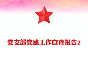 党支部党建工作自查报告2