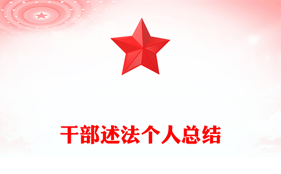 干部述法个人总结