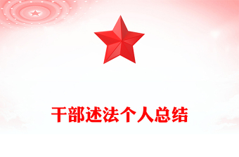 干部述法个人总结