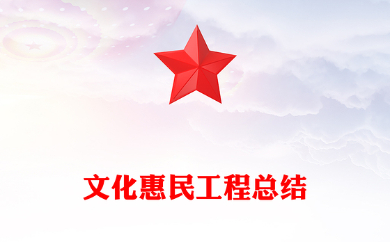 文化惠民工程总结