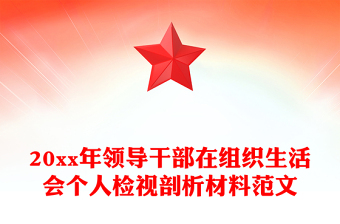党史学习教育个人检视剖析材料