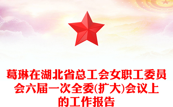 葛琳在湖北省总工会女职工委员会六届一次全委(扩大)会议上的工作报告