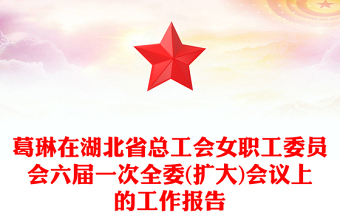 葛琳在湖北省总工会女职工委员会六届一次全委(扩大)会议上的工作报告