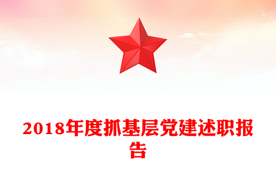 2018年度抓基层党建述职报告