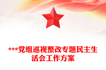 ***党组巡视整改专题民主生活会工作方案