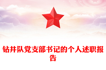 钻井队党支部书记的个人述职报告