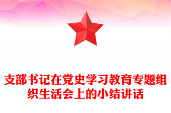 支部书记在党史学习教育专题组织生活会上的小结讲话