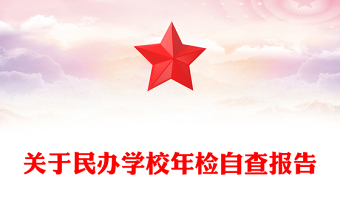 关于民办学校年检自查报告