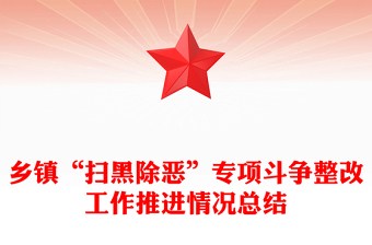 乡镇“扫黑除恶”专项斗争整改工作推进情况总结