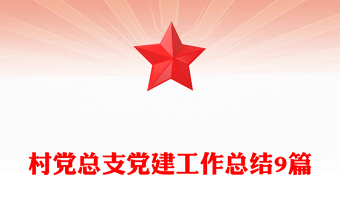 村党总支党建工作总结9篇