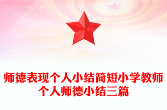 师德表现个人小结简短小学教师个人师德小结三篇
