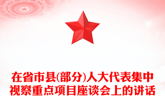 在省市县(部分)人大代表集中视察重点项目座谈会上的讲话