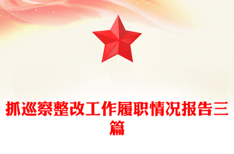 抓巡察整改工作履职情况报告三篇