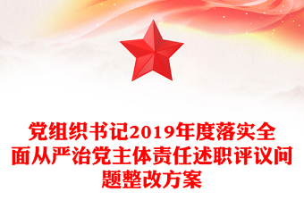 党组织书记2019年度落实全面从严治党主体责任述职评议问题整改方案